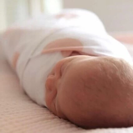 Baby Hub 1